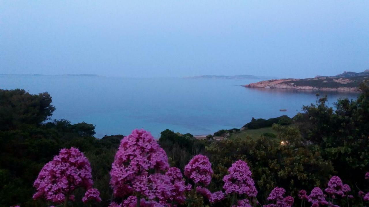 Appartamento Fronte Mare Santa Teresa Gallura Buitenkant foto